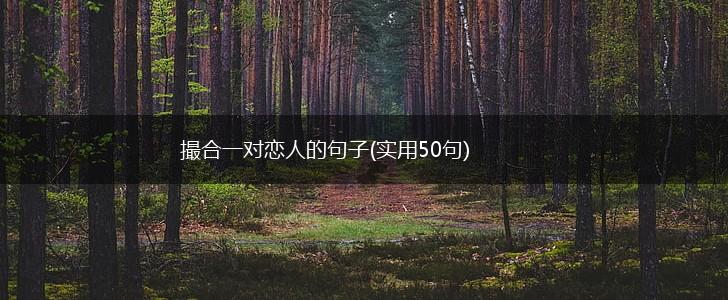 撮合一对恋人的句子(实用50句),第1张