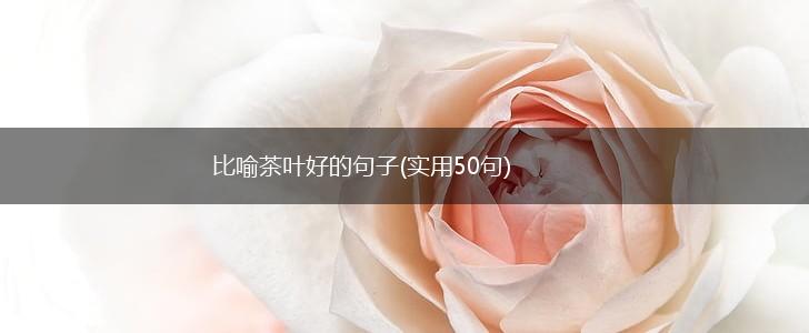 比喻茶叶好的句子(实用50句),第1张