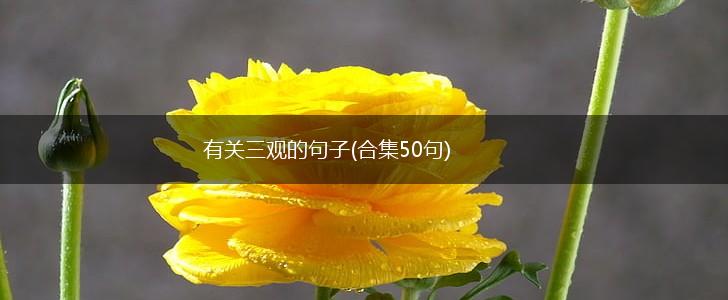 有关三观的句子(合集50句),第1张