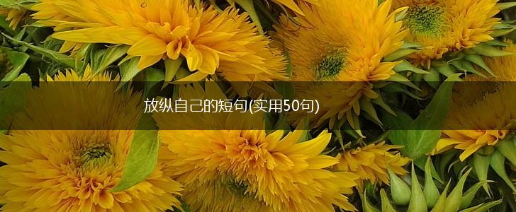放纵自己的短句(实用50句),第1张