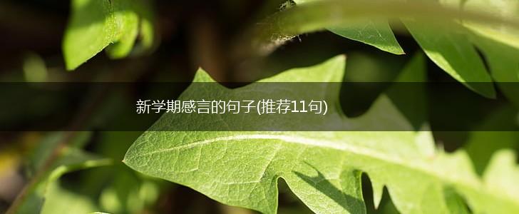 新学期感言的句子(推荐11句),第1张