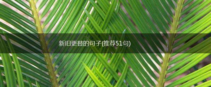 新旧更替的句子(推荐51句),第1张