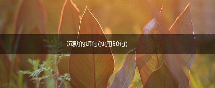 沉默的短句(实用50句),第1张