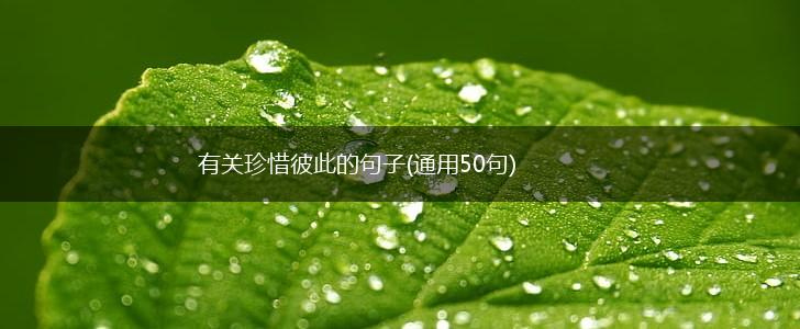 有关珍惜彼此的句子(通用50句),第1张