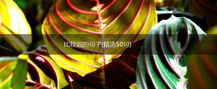 比较浪的句子(精选50句),第1张
