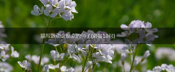 描写运动会观众的句子(必备10句),第1张