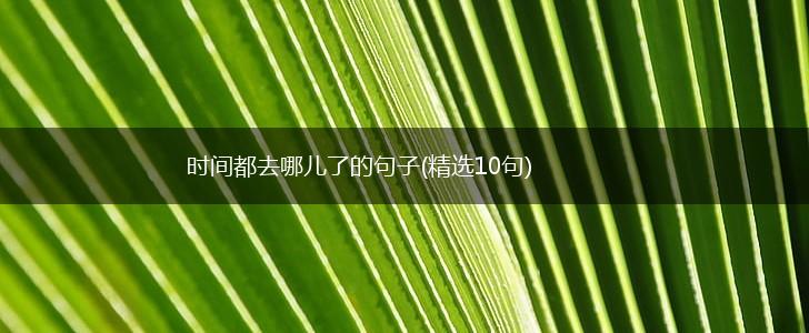 时间都去哪儿了的句子(精选10句),第1张