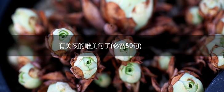 有关夜的唯美句子(必备50句),第1张