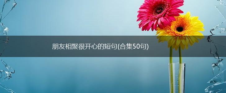 朋友相聚很开心的短句(合集50句),第1张