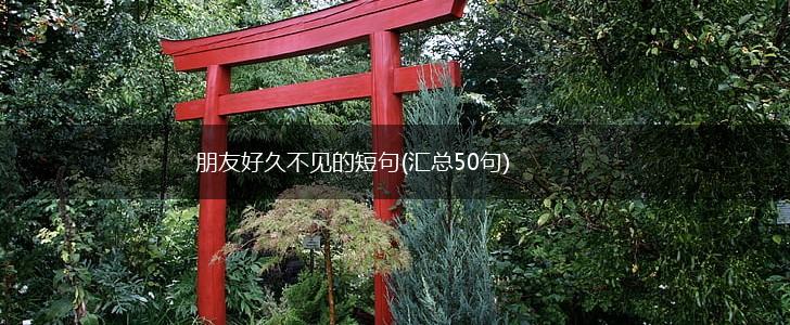 朋友好久不见的短句(汇总50句),第1张