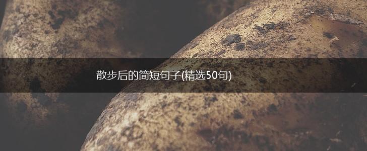 散步后的简短句子(精选50句),第1张