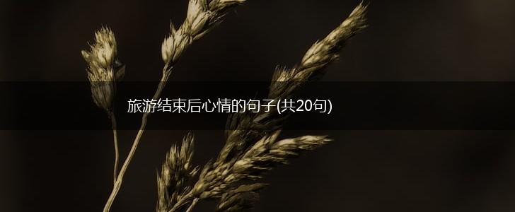 旅游结束后心情的句子(共20句),第1张