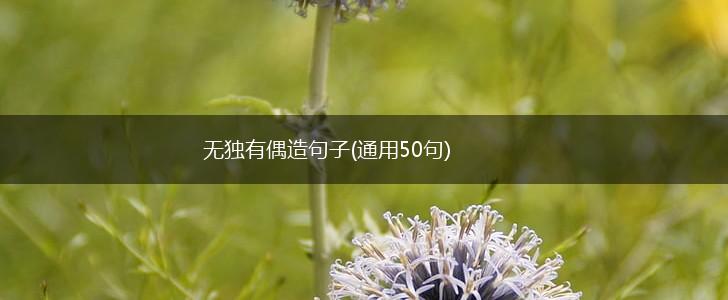 无独有偶造句子(通用50句),第1张