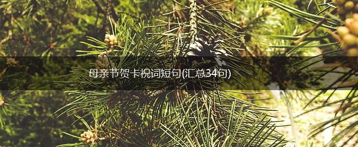 母亲节贺卡祝词短句(汇总34句),第1张