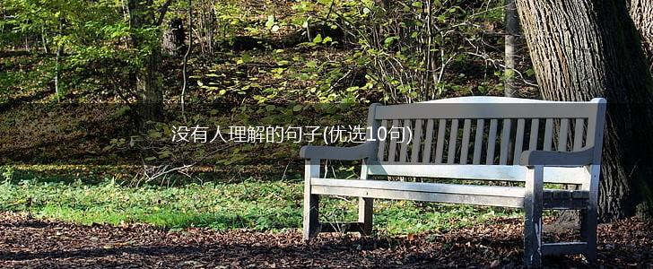 没有人理解的句子(优选10句),第1张