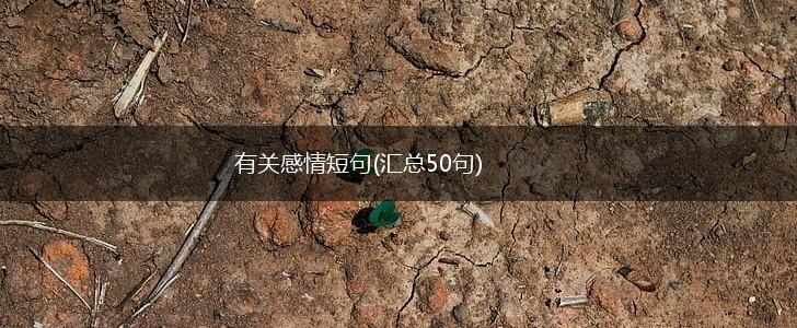 有关感情短句(汇总50句),第1张