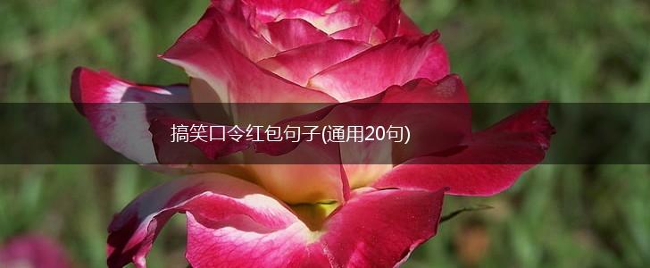 搞笑口令红包句子(通用20句),第1张
