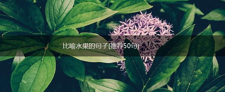 比喻水果的句子(推荐50句),第1张