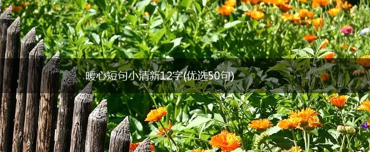 暖心短句小清新12字(优选50句),第1张