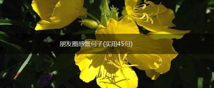 朋友圈感慨句子(实用45句),第1张