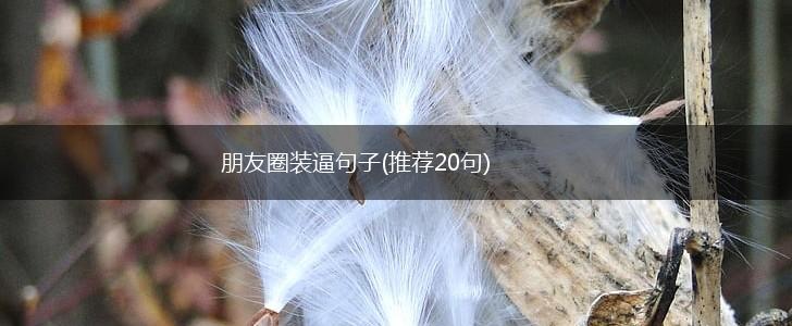 朋友圈装逼句子(推荐20句),第1张