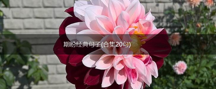 期盼经典句子(合集20句),第1张