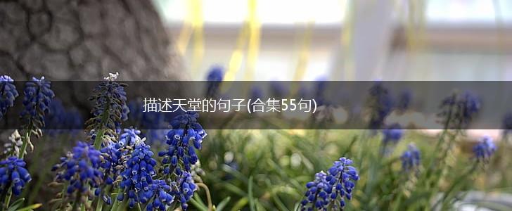 描述天堂的句子(合集55句),第1张