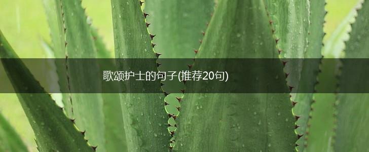 歌颂护士的句子(推荐20句),第1张