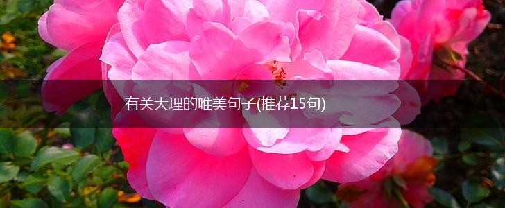 有关大理的唯美句子(推荐15句),第1张