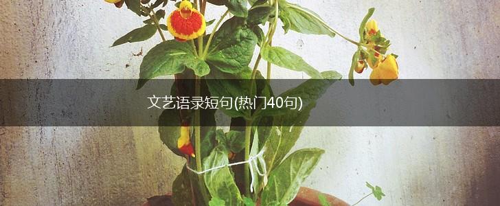 文艺语录短句(热门40句),第1张