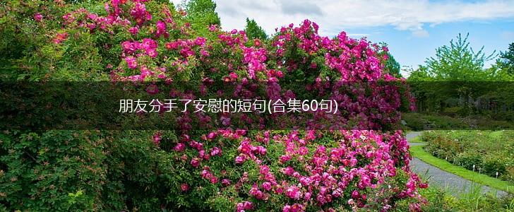 朋友分手了安慰的短句(合集60句),第1张
