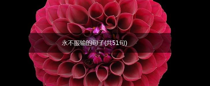 永不服输的句子(共51句),第1张