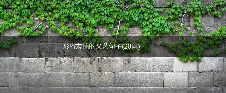 形容友情的文艺句子(20句),第1张