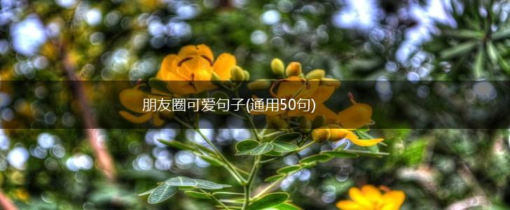 朋友圈可爱句子(通用50句),第1张