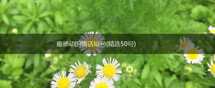 最感动的情话短句(精选50句),第1张