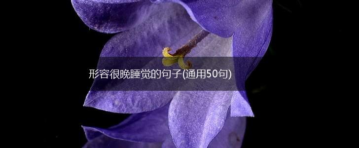 形容很晚睡觉的句子(通用50句),第1张