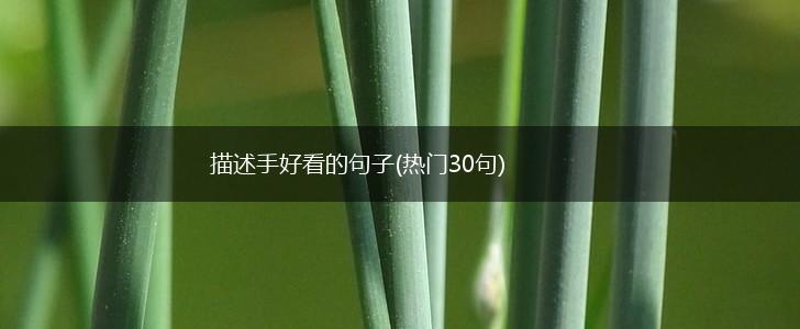 描述手好看的句子(热门30句),第1张