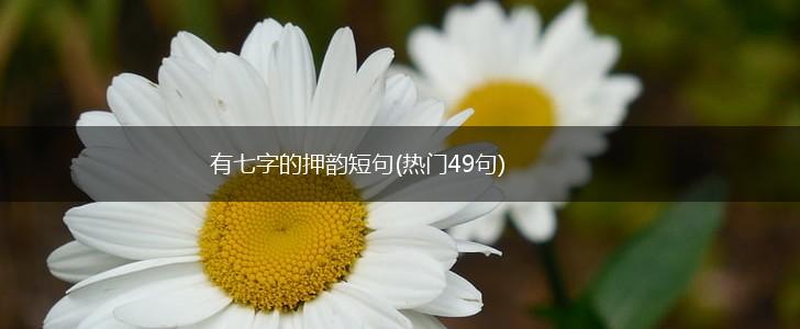 有七字的押韵短句(热门49句),第1张