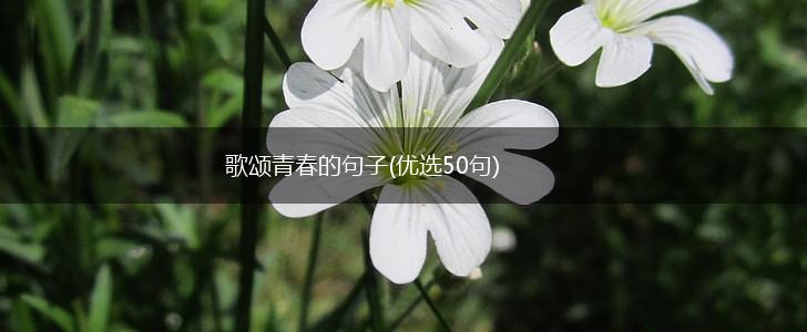 歌颂青春的句子(优选50句),第1张