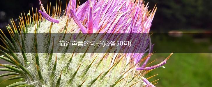 描述声音的句子(必备50句),第1张
