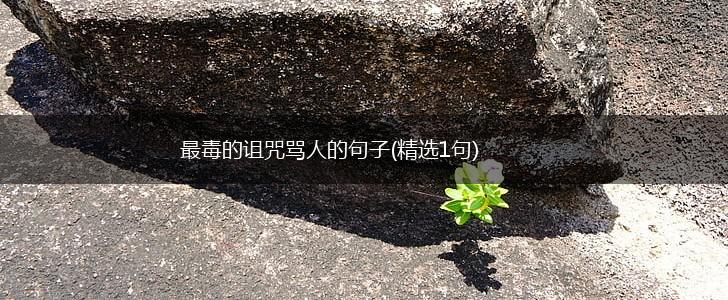 最毒的诅咒骂人的句子(精选1句),第1张