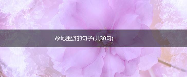 故地重游的句子(共30句),第1张