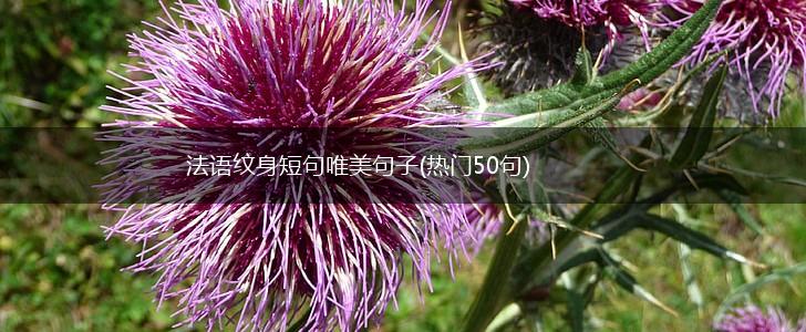 法语纹身短句唯美句子(热门50句),第1张