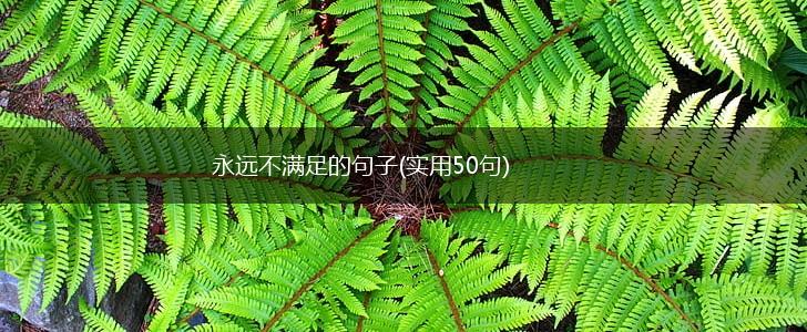 永远不满足的句子(实用50句),第1张