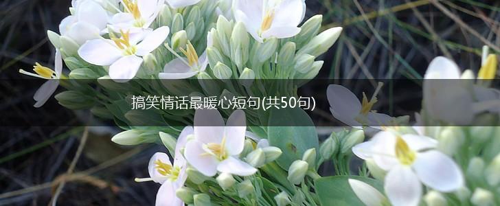 搞笑情话最暖心短句(共50句),第1张