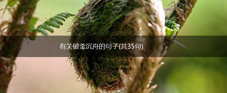 有关破釜沉舟的句子(共35句),第1张