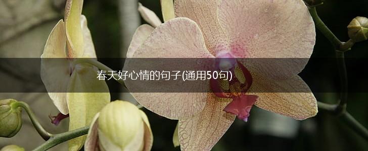 春天好心情的句子(通用50句),第1张