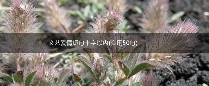 文艺爱情短句十字以内(实用50句),第1张