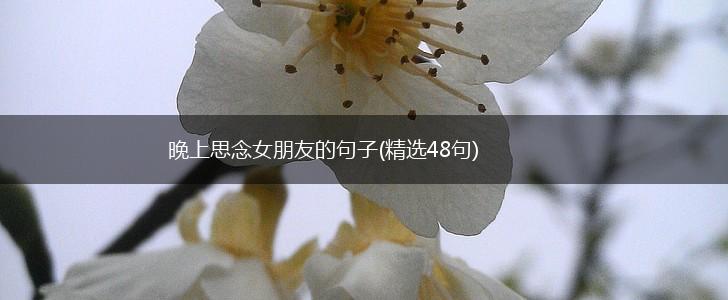 晚上思念女朋友的句子(精选48句),第1张