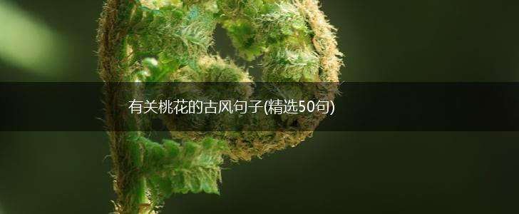 有关桃花的古风句子(精选50句),第1张